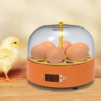 6 Инкубатор Для яиц Мини Птица Перепел Курица Инкубатор Токарь 15 Вт Регулируемый Контроль Температуры Улучшение Скорости Инкубации